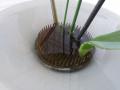 Kenzan, spetsig groda Ikebana L